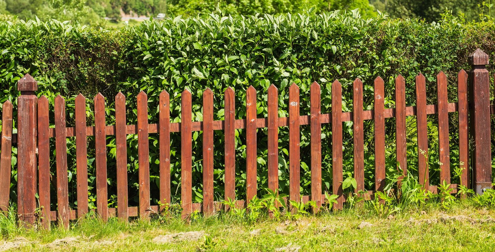 wood fence perspective view