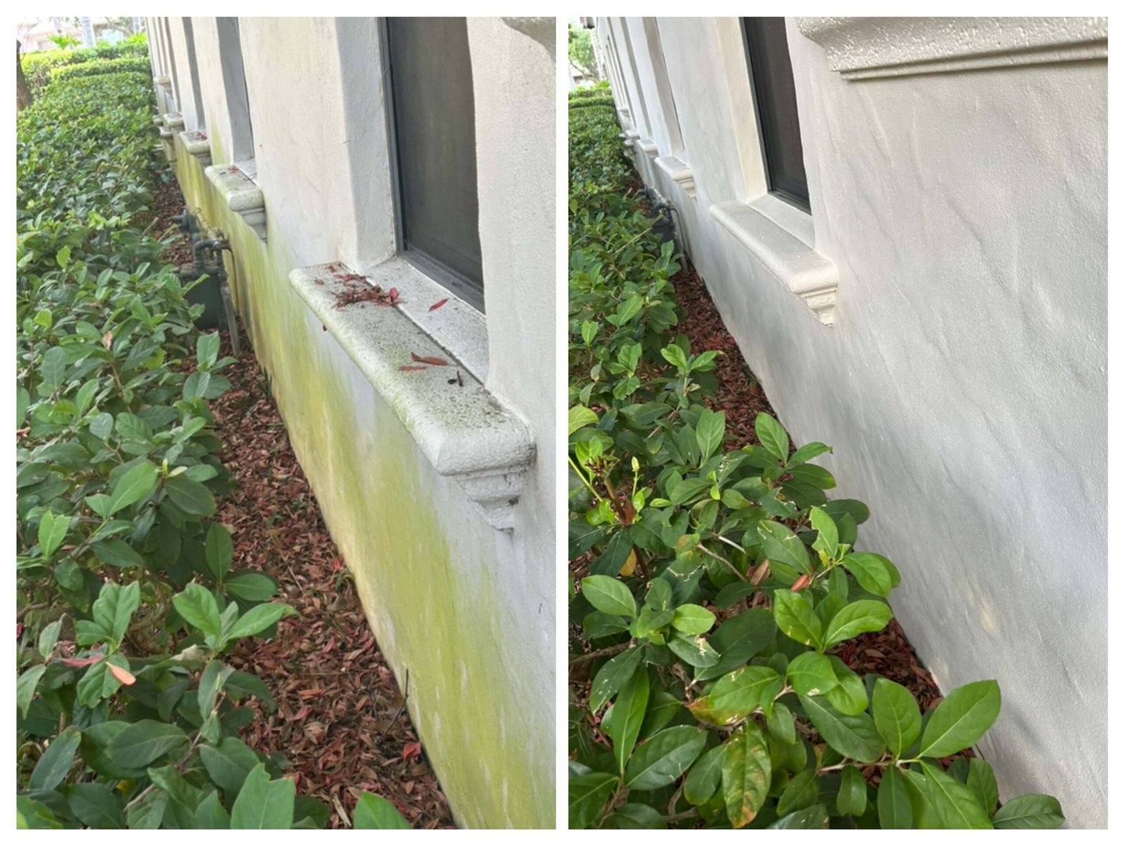 Exterior Transformation Before and After